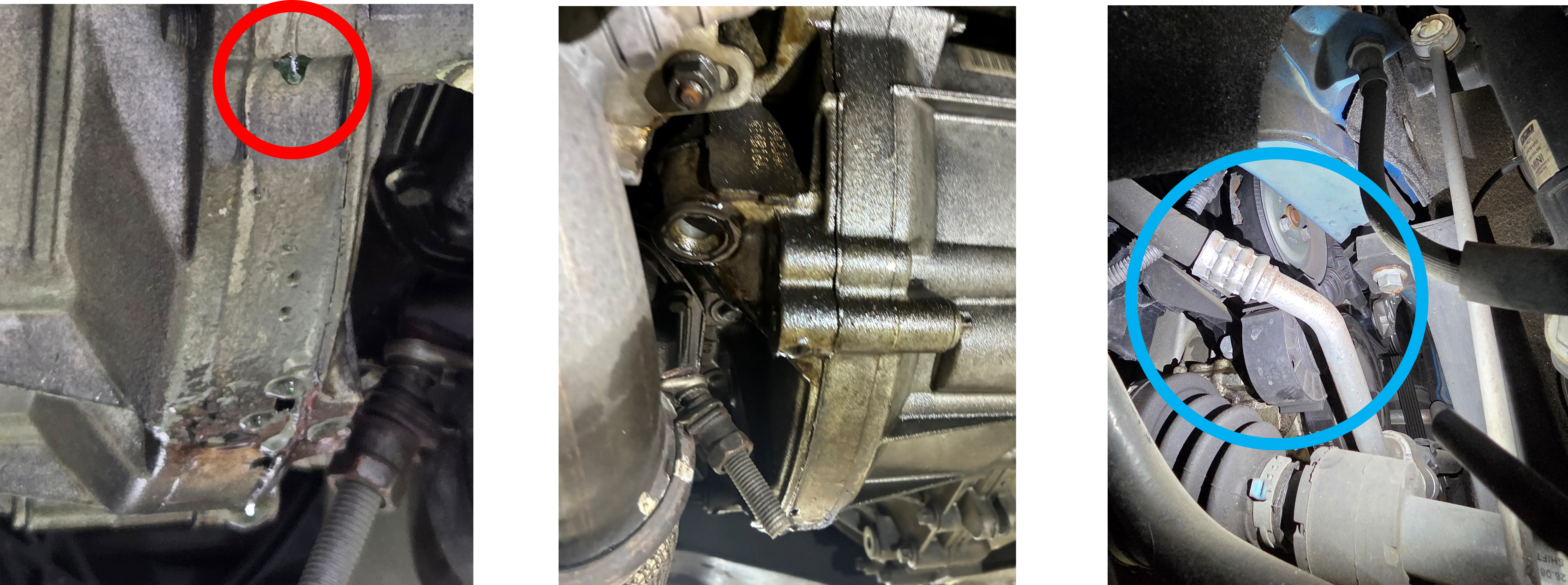 クラブマン点検内容