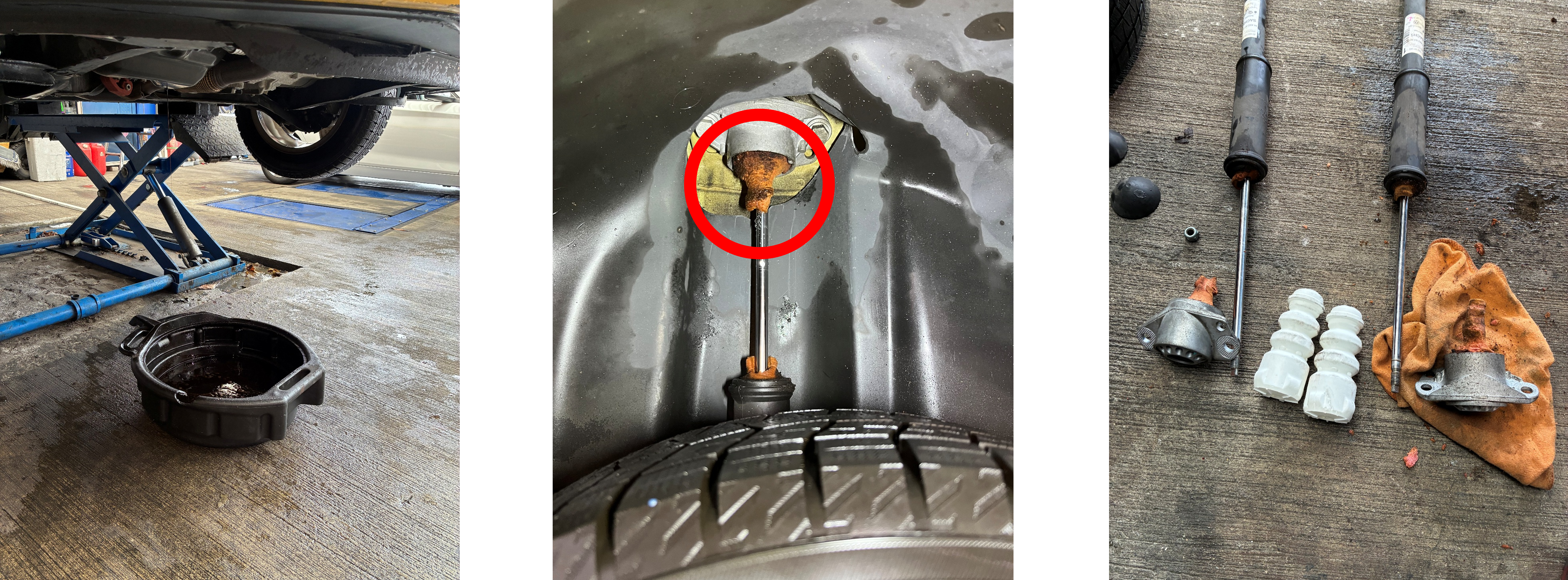 ポロショックバンプラバー