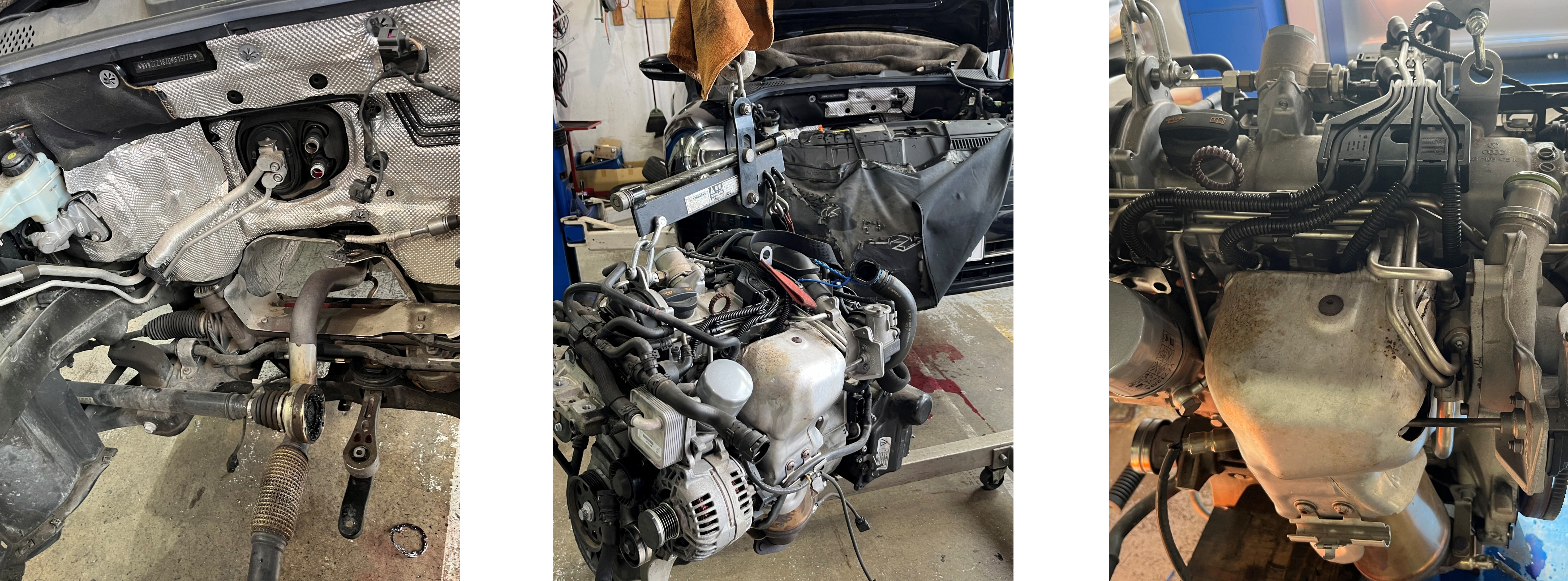 ビートル作業内容3